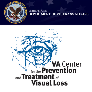 Banner advertising Our pilot project, “EchoSee: an assistive technology platform for simulating human echolocation to assist those who are blind or severely visually impaired with safe and independent navigation,” has been funded from the U.S. Department of Veterans Affairs Center for the Prevention and Treatment of Visual Loss (CPTVL)