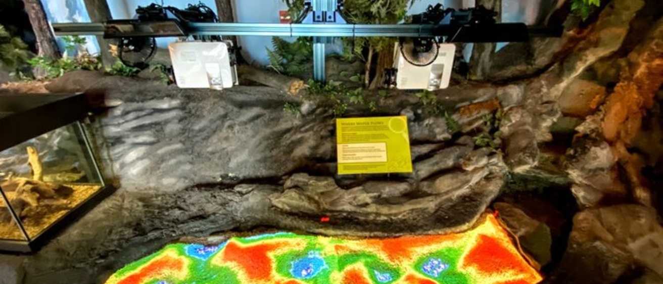 Photo of the virtual sandbox